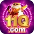 11q Max Gaming App